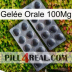 Gelée Orale 100Mg 31
